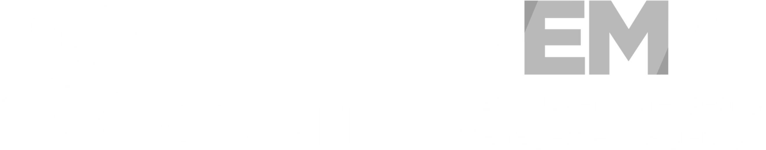 VEMA-COV Grey Logo.png